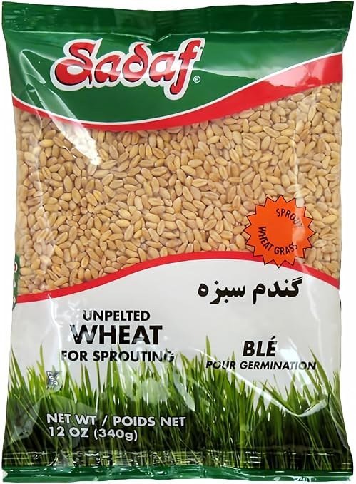 Wheat